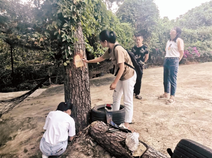 工作人员从朽木和旁边活木.png 工作人员从朽木和旁边活木.png