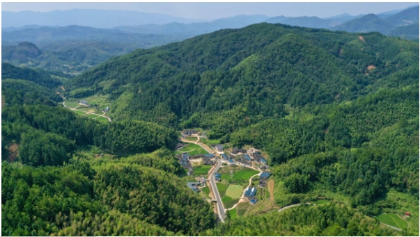目前，连城拥有林地面积330万亩，.png