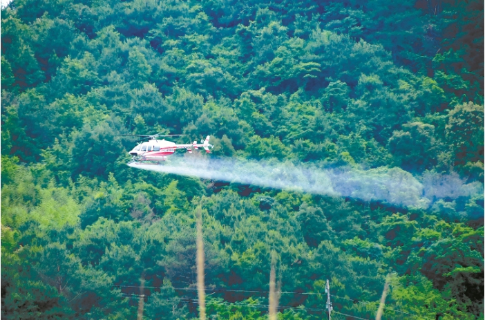 飞机喷药防治松材线虫病传播媒介作业。 杨.png 飞机喷药防治松材线虫病传播媒介作业。 杨.png