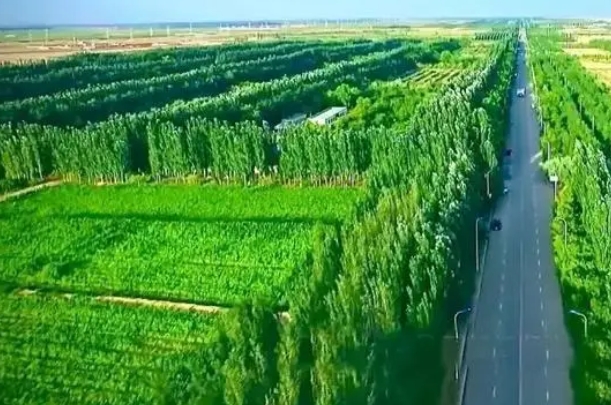 奋力谱写“三北”工程新篇章3.png 奋力谱写“三北”工程新篇章3.png