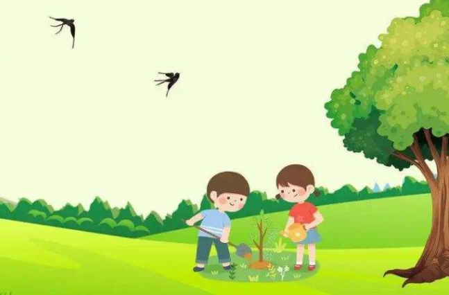 植树6.png 植树6.png