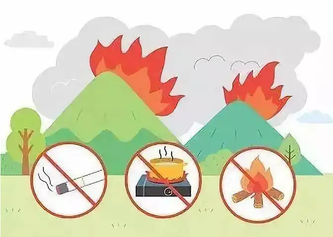 森林防火.png 森林防火.png