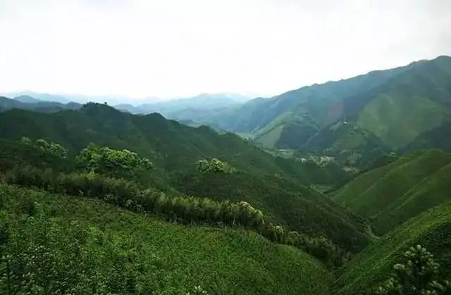 湖南流峰.png 湖南流峰.png
