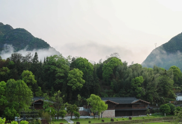 浙江温州.png 浙江温州.png