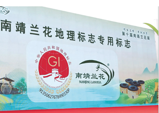 超千盆精品国兰亮相第十届南靖兰花展1111.png 超千盆精品国兰亮相第十届南靖兰花展1111.png