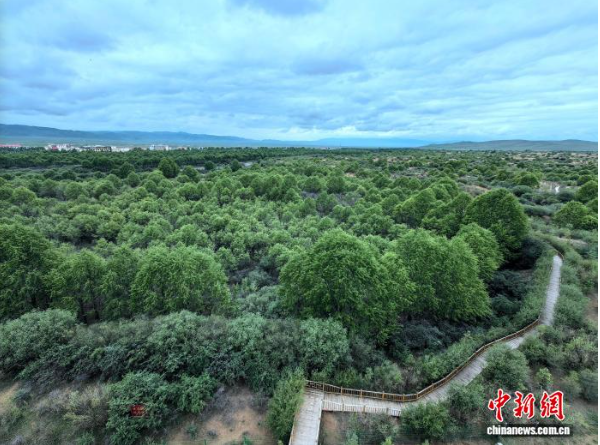 图为青海省海南藏族自治州.png
