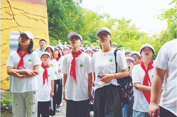 探访古树 铜.png 探访古树 铜.png