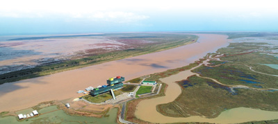 黄河三角洲.jpg