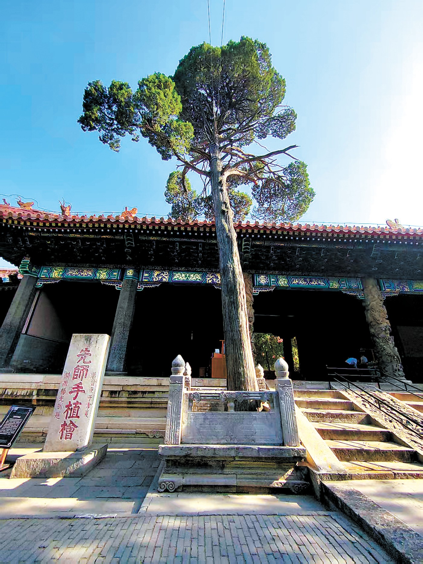 先师手植桧.jpg 先师手植桧.jpg