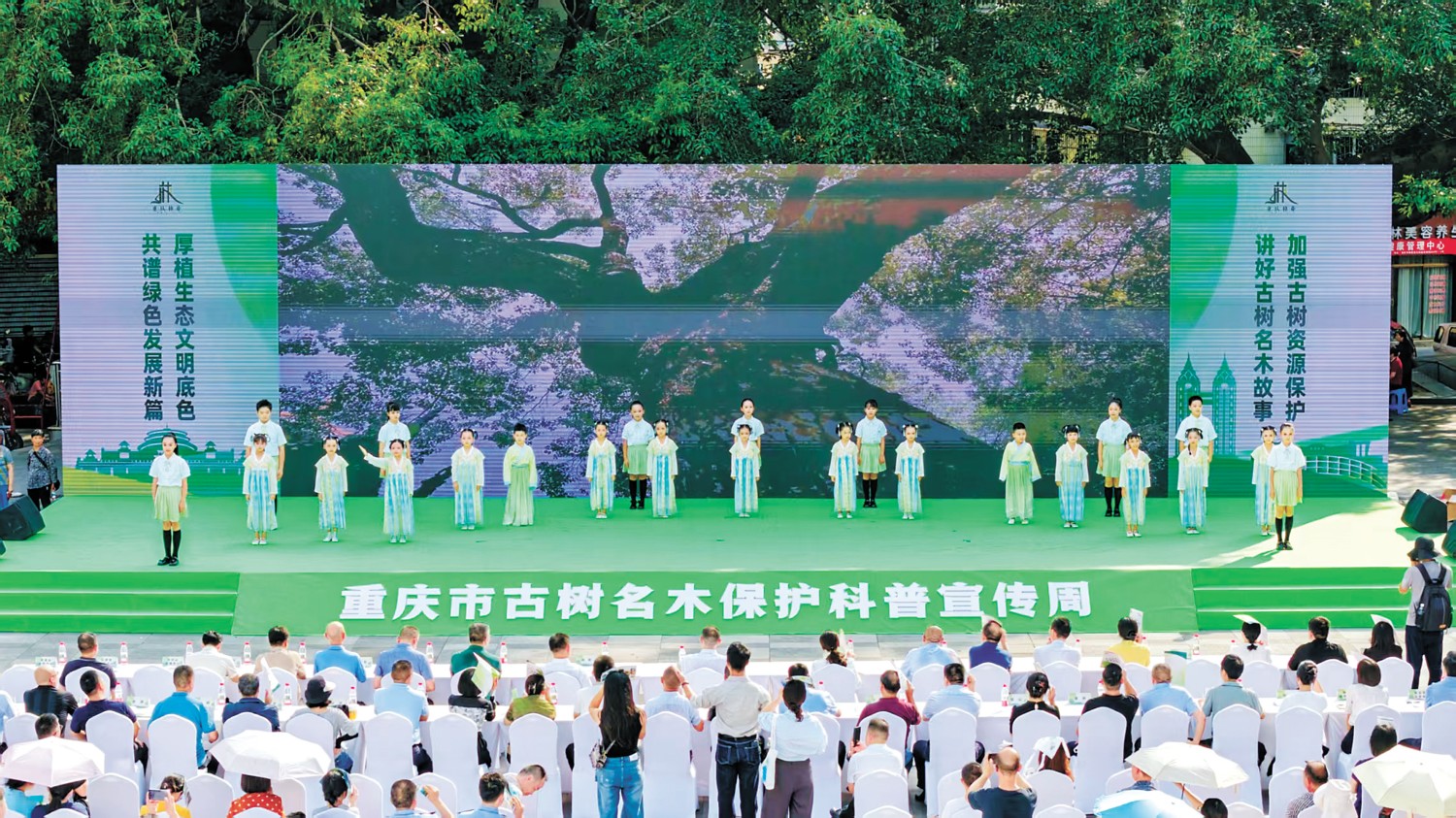 诗歌朗诵《古树赞礼》 重.jpg 诗歌朗诵《古树赞礼》 重.jpg