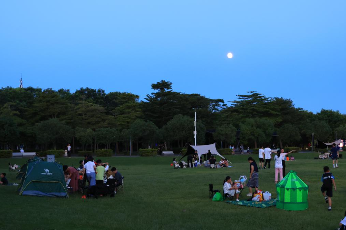 游客在深圳湾公园露营赏月。.png