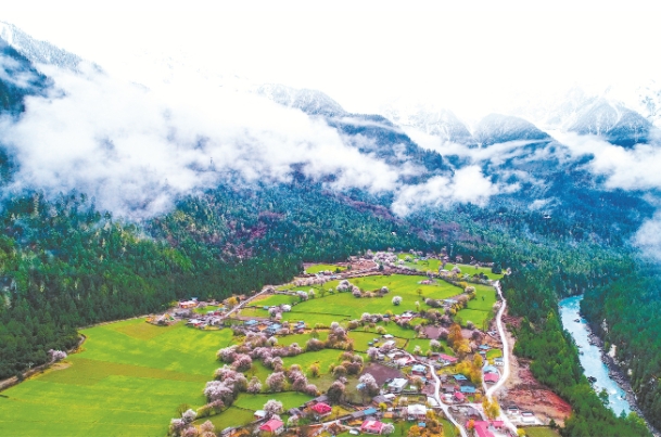 西藏波密县达兴村 11.png