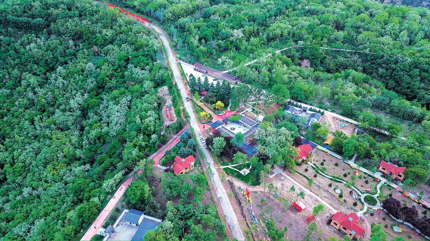 “五一”期间,官山林场打.jpg “五一”期间,官山林场打.jpg