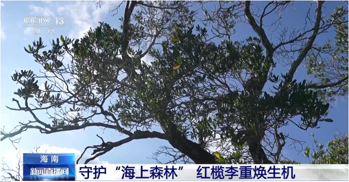 记者跟随科研人员往深处走.png
