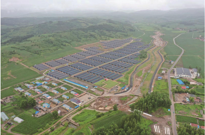 和龙市八家子镇桑黄种植基地。(.png 和龙市八家子镇桑黄种植基地。(.png