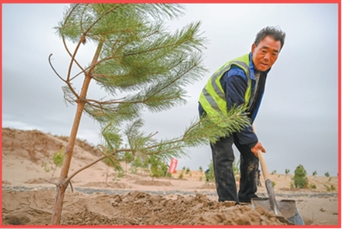 内蒙古通辽市科尔沁沙地束力古台防沙治沙项.png
